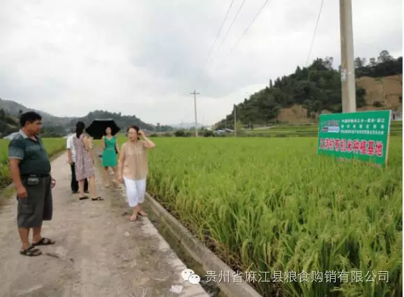 為您帶來(lái)健康的綠色有機(jī)食品