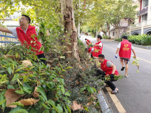 麻江縣糧食購銷公司黨支部 開展志愿服務(wù)主題黨日活動